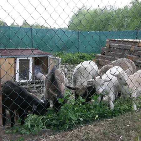 Rybářská Bašta Svěcený - Restaurace, * Cerniny